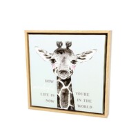 Baby Giraffe Framed Canvas 34x34