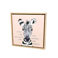 Baby Zebra Framed Canvas 34x34