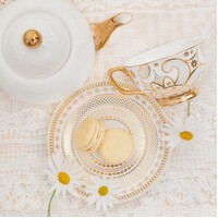 Teacup & Saucer Georgia Lace Pearl