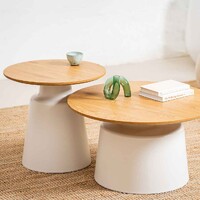 Fen Coffee Table Set