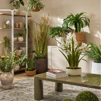 Owen Shelving Unit, Natural Wash & White