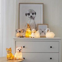 Night Light Sheep