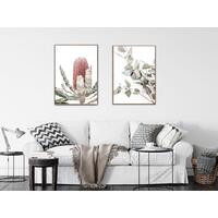 Botanical - Banksia Framed Canvas