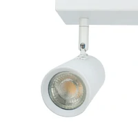 Brianna 2 Light Spot Light - White
