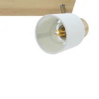 Daphne 2 Light Spot Light - White