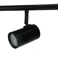 Colleen 5 Light Adjustable Spotlight Pendant