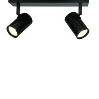 Brianna 2 Light Spot Light - Black