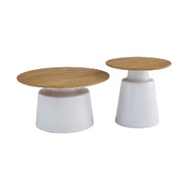 Fen Coffee Table Set