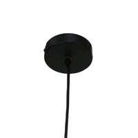 Colleen 5 Light Adjustable Spotlight Pendant