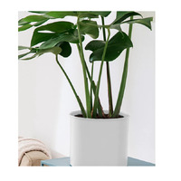 Modern Tripod Pot Holder Rack 70cm