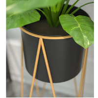 Gold Wire Metal Black Pot Holder Rack 70cm