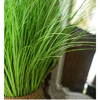 Artificial Indoor Potted Reed Bulrush Grass 110cm