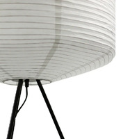 Seren Tripod Floor Lamp