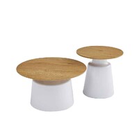 Fen Coffee Table Set