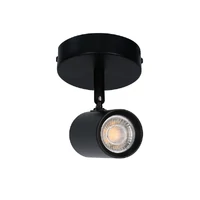 Brianna 1 Light Spot Light - Black