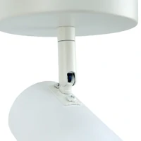 Brianna 1 Light Spot Light - White