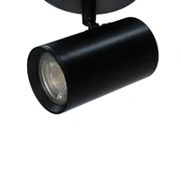 Brianna 1 Light Spot Light - Black