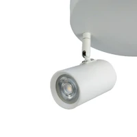 Brianna 3 Light Round Spot Light - White