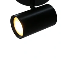 Brianna 1 Light Spot Light - Black