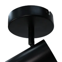 Brianna 1 Light Spot Light - Black