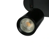 Brianna 3 Light Round Spot Light - Black