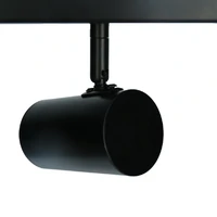 Brianna 4 Light Spot Light - Black