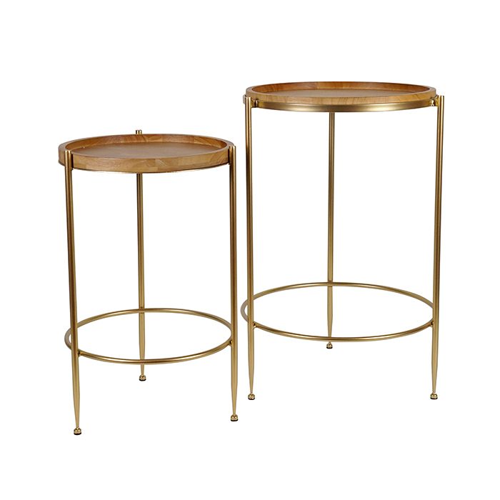 Rich Timber & Gold Metal Round Table Set of 2