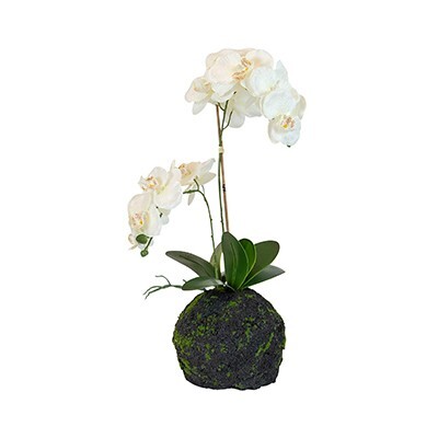 Helena PVC Bare Root White Orchid