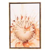 Flourish Sunflower Frame Canvas 44x64