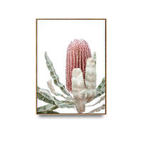 Botanical - Banksia Framed Canvas