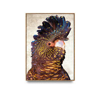 Black Cockatoos L Framed Canvas