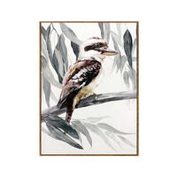 Kookaburra Framed Canvas
