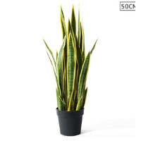 Artificial Yellow Edge Tiger Piran Plant 50cm