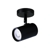 Brianna 1 Light Spot Light - Black