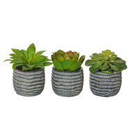 Succulent-Charcoal Pot Set of 3