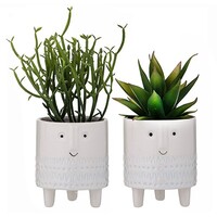 Succulent-Happy Pot Set of 2