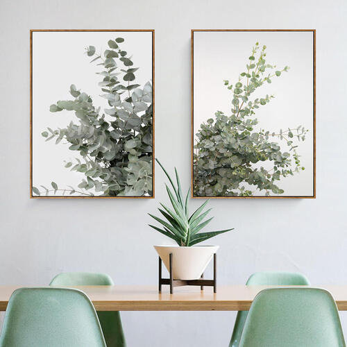 Eucalyptus Framed Canvas