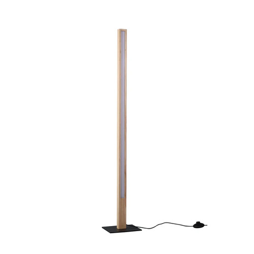 Rectara Floor Lamp